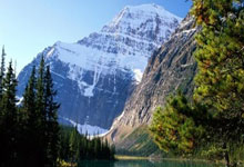 欧洲杯比分结果表怎么看？最新赛事数据和解读来了